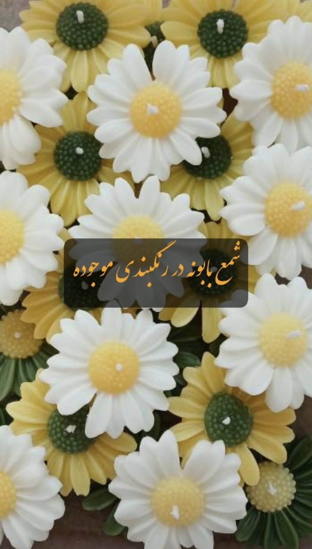 شمع بابونه دست ساز